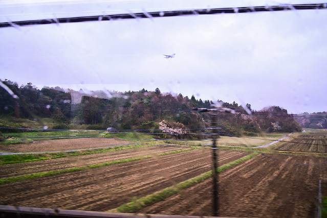 japen day 1-1-20 http://farm9.static.flickr.com/8242/8640750941_3eb8289376_z.jpg