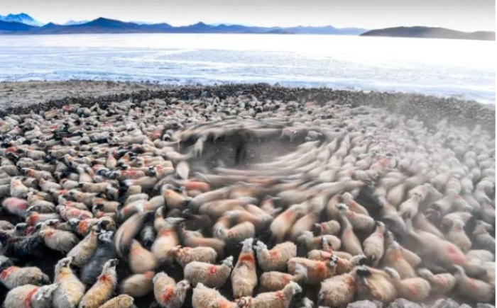 صور من العالم