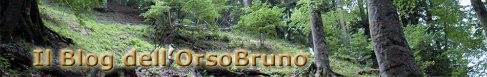 Il blog dell'Orso Bruno