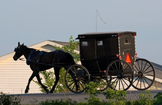 ... selection of photos from the Jamesport, Missouri Amish community