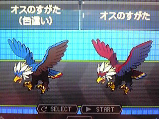 September Rain 色違いポケモン捕獲