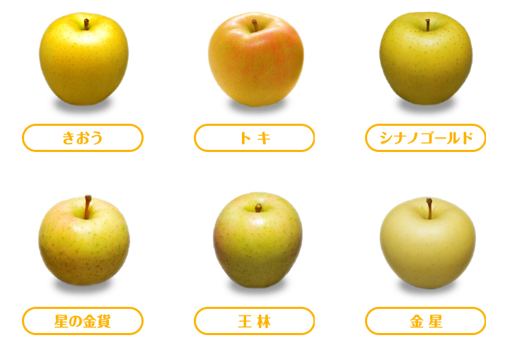 青森りんごの次世代エース トキ まるごと青森