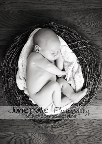 IMG_0041 copy