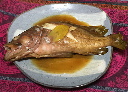 アコウの煮付け 釣りバカ男の手料理