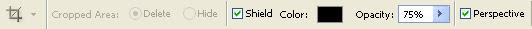 Crop options bar