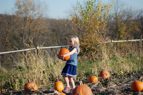 Pumpkin Patch 2011