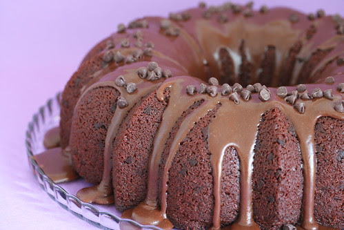 Chocolate-Cinnamon Bundt Cake with Mocha Icing - I Like Big Bundts