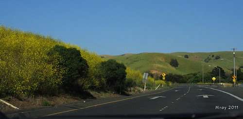 Highway 4 36