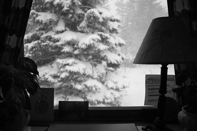 snow-laden window