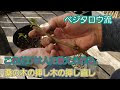 【ベストコレクション】 桑 挿し木 時期 293730