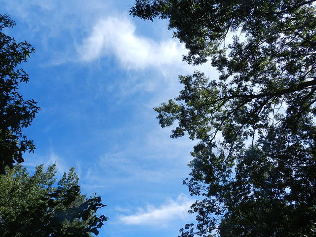 skywfDSCN6386