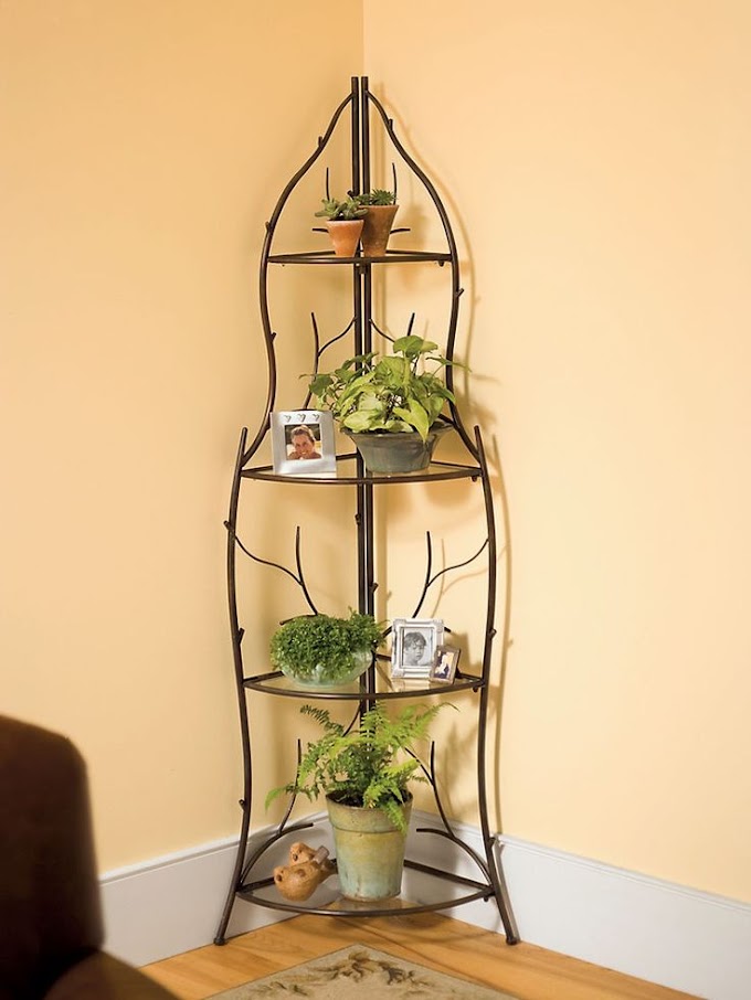 Tall Outdoor Potted Plants For Privacy / Branch Corner Plant Stand | Corner plant, Corner plant / Lilly pilly · pittosporum tenuifolims · photinia robusta · viburnums · clumping bamboo · little gem magnolia · bottlebrush (callistemon).