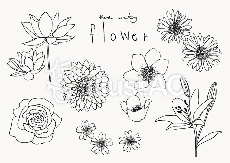 印刷可能 イラスト 白黒 おしゃれ 花 最高の画像壁紙日本afhd