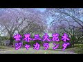 √画像をダウンロード 長居植物園 ジャカランダ 大阪 221383