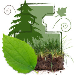 Green perfume scent