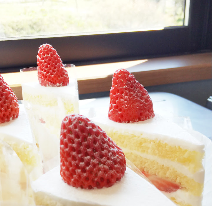 Siro Cake 緑豊かな場所にある小さなケーキ屋さん