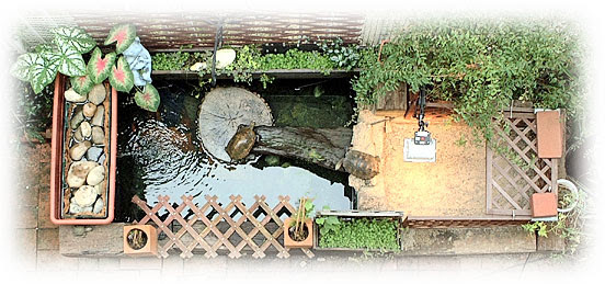 手作りの大容量ろ過器です