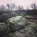 Rocktown, GA
