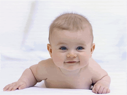 Bebe