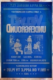 The Velvet Underground(The Velvet Underground)[2021]最新 电影