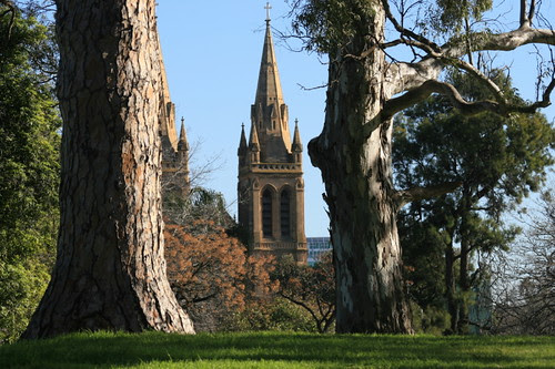 Morning walk 5/9/2008