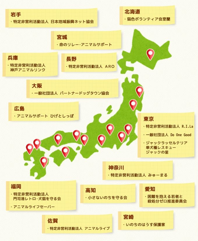 殺処分寸前ゼロ実現のために、「ふるさと納税」でできる支援とは？