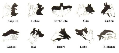 Clique para ampliar a imagem