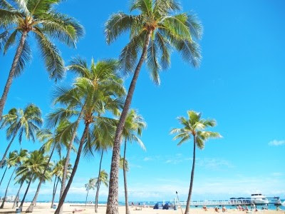 10月のハワイ 気温や服装は 旅費は ハワイの楽しみ方 パワースポット紹介