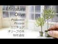 【印刷可能】 ミニチュア 観葉 植物 280900-ミニチュア 観葉 植物 作り方