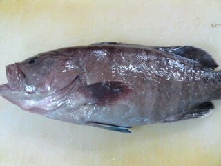 クエのおろし方 三枚おろし 刺身 簡単 魚の美味しいさばき方