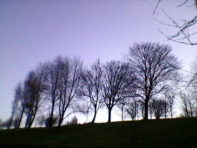Photo-0138