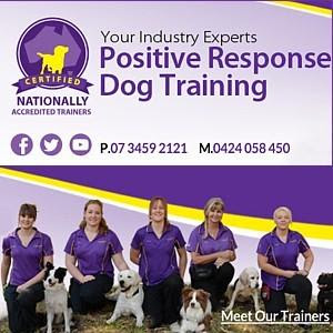 Brisbane Dog Trainer. Puppy school classes Redlands Brisbane East, dog ...