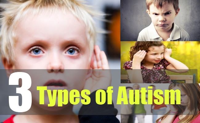 Image result for types of autism