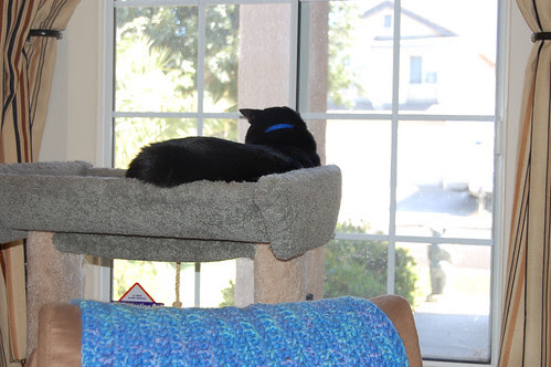 Buddah Gets The Window