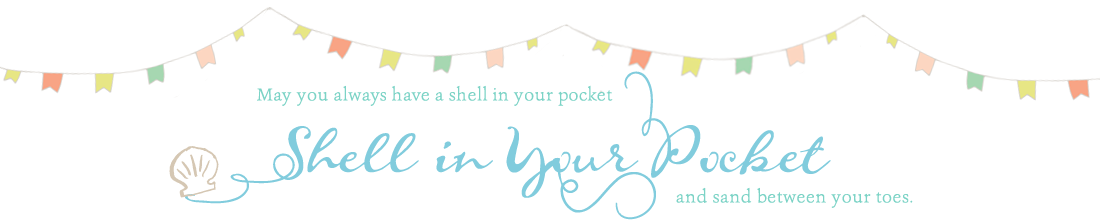 shells in your pocket header