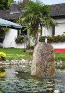 Brunnen garten