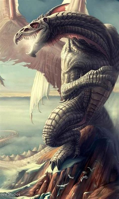dragon  wallpapers  apk  android