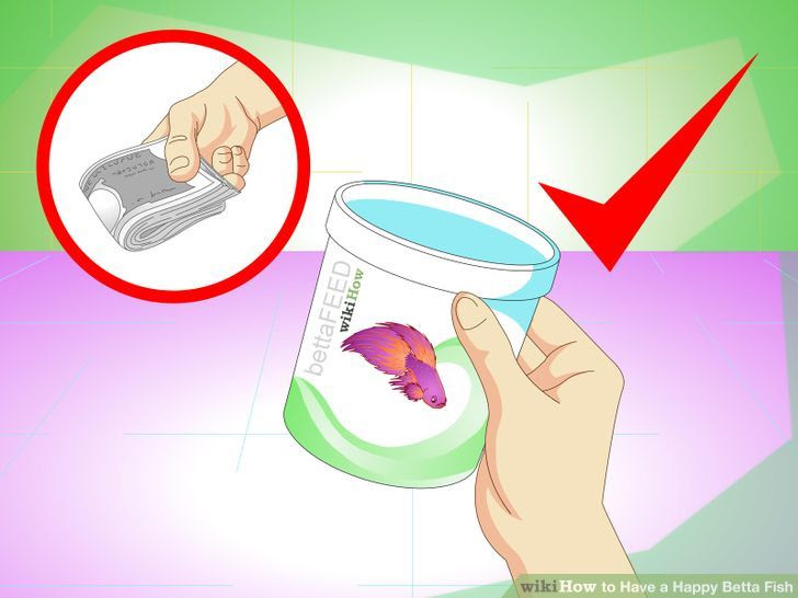 Have a Happy Betta Fish Step 10 Version 3.jpg