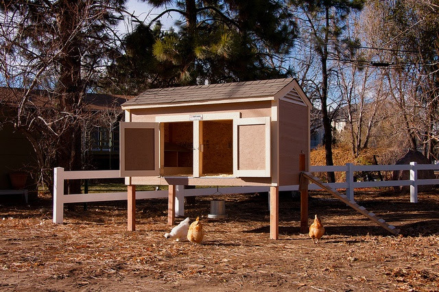 Chicken Coop by TUFF SHED | Country Living | Pinterest