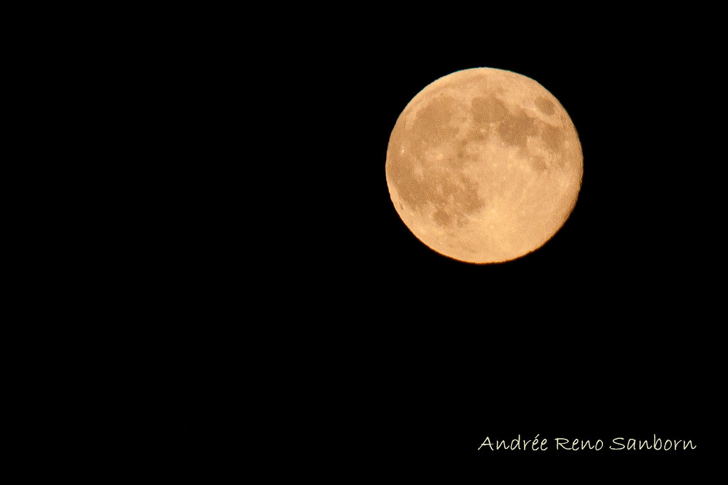 Full Harvest Moon-10.jpg