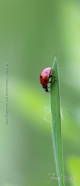IMG_9056-signée