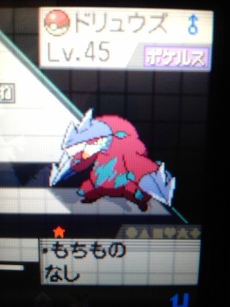 色違いドリュウズさん凄い色 写真共有サイト フォト蔵