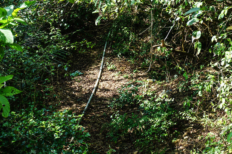 DSC03344 DSC03344