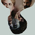 [MWO] Regarder; Mise à mort du cerf sacré 2017 Film Complet Gratuit Français Streaming VF 1080p en Ligne