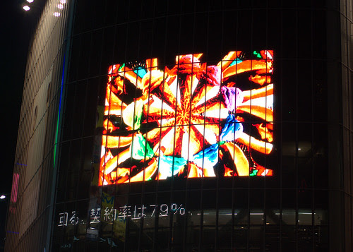 2010-05-17 Shibuya (19).DNG