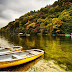 Nature Hd Wallpaper 1920X1080 / 1080p Nature Wallpaper (67+ images) : Nature, 1920x1200, forest, lake, water, tree, hd, 4k.