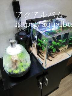 アクアライン アクアルバム