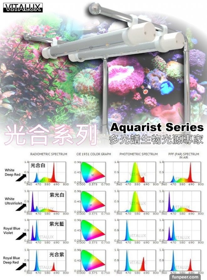 Led水草燈使用前後效果比較 台灣led效果佳