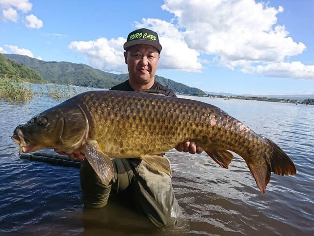 河口湖 西湖鯉釣り大会2 Eurocarp ユーロカープ ボイリー リグ ロッド リール等カープフィッシング専門店