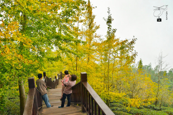 ▲武岫農圃。(圖/攝影師《飛翔在天際》提供。)